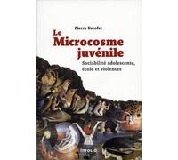 Le Microcosme juvénile. Sociabilité adolescente