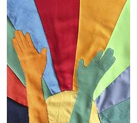 Le Millipede - Legs and Birds