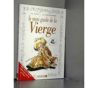 Le Mini-guide de la Vierge en BD