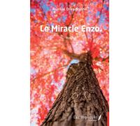 Le Miracle Enzo - Aurèle Dieudonné - Les Impliqués - broché - Roman