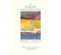 Le miroir imaginaire : Essais sur la peinture