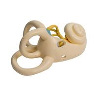 Le modèle anatomique agrandi de l'oreille interne humaine montre le modèle anatomique interne de l'oreille interne humaine pour le rapport de lecture représentation de la cochlée