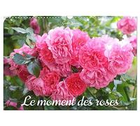Le moment des roses (Calendrier mural 2027 DIN A3 vertical), CALVENDO calendrier mensuel: Les roses enchantent la vie