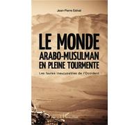 Le monde arabo-musulman en pleine tourmente