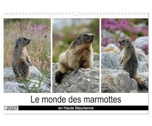 Le monde des marmottes en Haute Maurienne (Calendrier mural 2027 DIN A3 vertical), CALVENDO calendrier mensuel: La vie trépidente de marmottes qui ... de passer une hibernation en toute sécurité.
