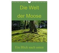 Le monde des mousses. Un regard vers le bas, Version française (Calendrier mural 2026 DIN A4 portrait), Calendrier CALVENDO mensuel