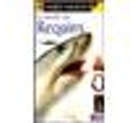Le monde des requins - VHS G