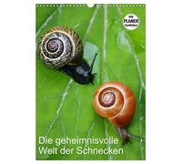 Le monde mystérieux des escargots, Version française (Calendrier mural 2026 DIN A3 portrait), Calendrier CALVENDO mensuel