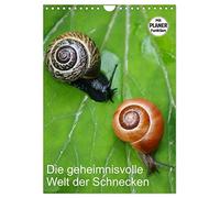 Le monde mystérieux des escargots, Version française (Calendrier mural 2026 DIN A4 portrait), Calendrier CALVENDO mensuel