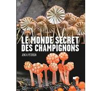 Le Monde secret des champignons