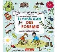 Le monde secret des fourmis