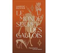Le Monde Secret Des Gaulois