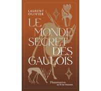 Le monde secret des gaulois: Une nouvelle histoire de la Gaule