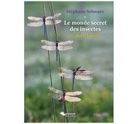 Le Monde Secret Des Insectes - En Pleine Lumière