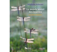 Le Monde Secret Des Insectes - En Pleine Lumière