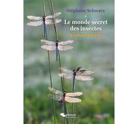 Le monde secret des insectes En pleine lumière - Stéphane Schwarz - Du Belvedere Eds - broché - Guide
