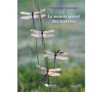 Le monde secret des insectes Stéphane Schwarz (Auteur)