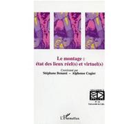 Le montage : état des lieux réel(s) et virtuel(s) Collectif (Auteur)