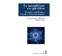 Le morphème en question Exemples multilingues d'analyse submorphologique - Chrystelle Fortineau-Bremond - Publication Universite Provence - broché - Essai