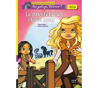 Le mystérieux cheval noir