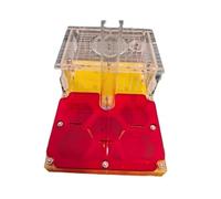 Le nid des Fourmis, Fourmilière, fourmilière, Avion, château de Fourmis, nid en Acrylique, Ferme d'étude, à la Maison et l'école