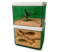 Le nid des Fourmis, Fourmilière, nid, comportement des Fourmis, de, château éducatif, Gypse Transparent, boîte d'alimentation, Maison