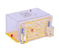 Le nid des Fourmis, Fourmilière, nid, fourmilière, château de Fourmis, Ferme d'observation Scientifique, intéressé par l'alimentation des(B)