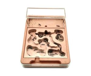 Le nid des Fourmis, Fourmilière Nid Platine en Gypse Réapprovisionnement Fourmis de Ferme