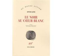 Le Noir au coeur blanc Arthur Japin (Auteur), Isabelle Rosselin (Traduction)