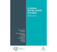 Le nouveau droit des sociétés en pratique Victoria Palm (Auteur)