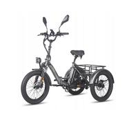 Le nouveau tricycle électrique FAFREES F20 Mate, 750W 48V21Ah 30KM/H, autonomie de 120 kilomètres,Gris