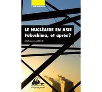 Le nucleaire en asie Fukushima, et après ? - Mathieu Gaulene - Philippe Picquier - Poche - Etude