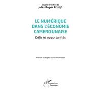 Le Numérique Dans L'économie Camerounaise