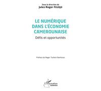 Le Numérique Dans L'économie Camerounaise