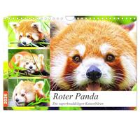 Le panda roux. Les oursons chats super câlins, Version française (Calendrier mural 2026 DIN A4 portrait), Calendrier CALVENDO mensuel