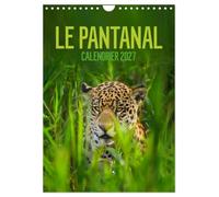 Le Pantanal (Calendrier mural 2027 DIN A4 horizontal), CALVENDO calendrier mensuel: Le Pantanal brésilien - un autre monde avec une faune incroyablement riche et colorée