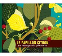 Le papillon citron Un messager du printemps - Cécile Jacoud - Amaterra - cartonné - Album éveil dès la naissance