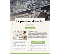 Le Parcours D'une Loi En France