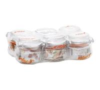 LE PARFAIT LOT 6 BOCAUX LE PARFAIT SUPER 250 ML D.70MM *