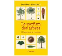 Le parfum des arbres: 13 façons de le respirer