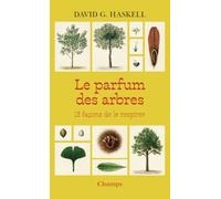 Le parfum des arbres: 13 façons de le respirer