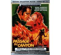 Le Passage du Canyon – DVD – Édition Collection Silver
