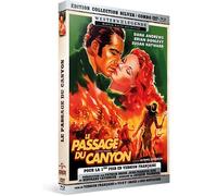 Le Passage Du Canyon - Édition Collection Silver Blu-Ray + Dvd