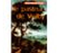 Le pasteur de vejlby suivi de Fragments du journal d'un bedeau de campagne - Steen Steensen Blicher - Ombres - broché - Roman
