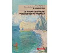 Le paysage en droit : vers un droit au paysage ? Pierre-Alain Collot (Auteur), Eric Naim-Gesbert (Auteur), Clémentine Bories (Auteur)