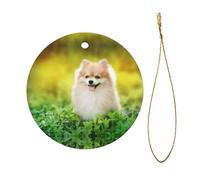 Le pendentif circulaire en céramique de Noël Bdba430255fddf74b0ac1b923f93d7b est un excellent ajout à votre décoration de vacances