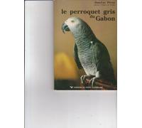 Le perroquet gris du gabon 070996