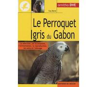 Le perroquet gris du Gabon