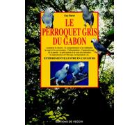 Le perroquet gris du Gabon
