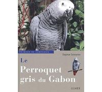 Le Perroquet gris du Gabon